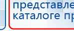 СКЭНАР-1-НТ (исполнение 02.1) Скэнар Про Плюс купить в Ессентуках, Аппараты Скэнар купить в Ессентуках, Медицинский интернет магазин - denaskardio.ru